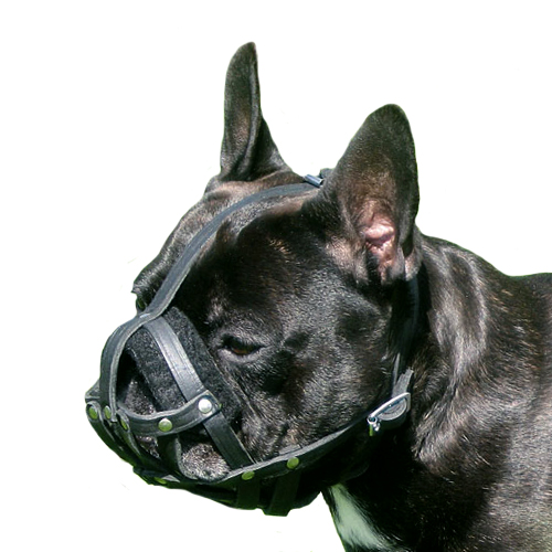 フレンチブルドッグ用メッシュタイプ革製口輪 - 閉じるために、画像をクリック